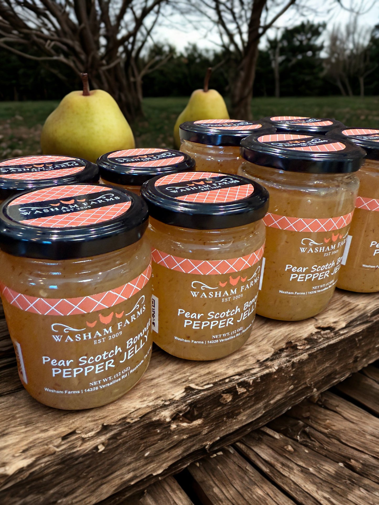 Pear Scotch Bonnet Pepper Jelly